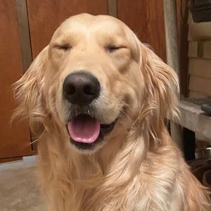 Meet your Posher, Joelle